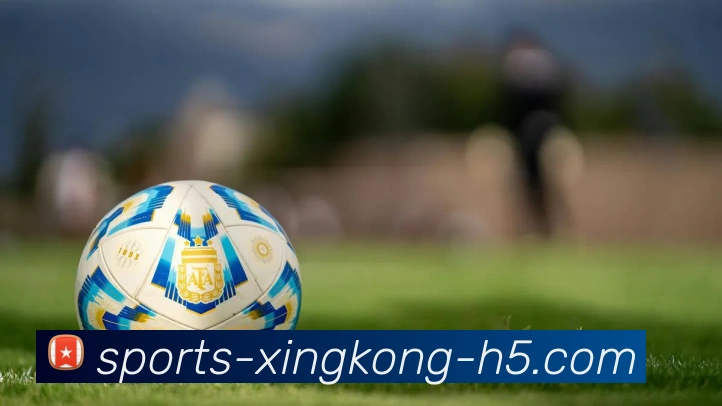 星空体育平台生态图