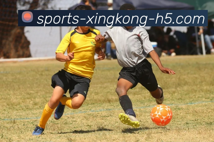 星空体育APP 封面图